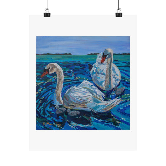 Mute Swan Family— Matte Paper Poster Reproduction
