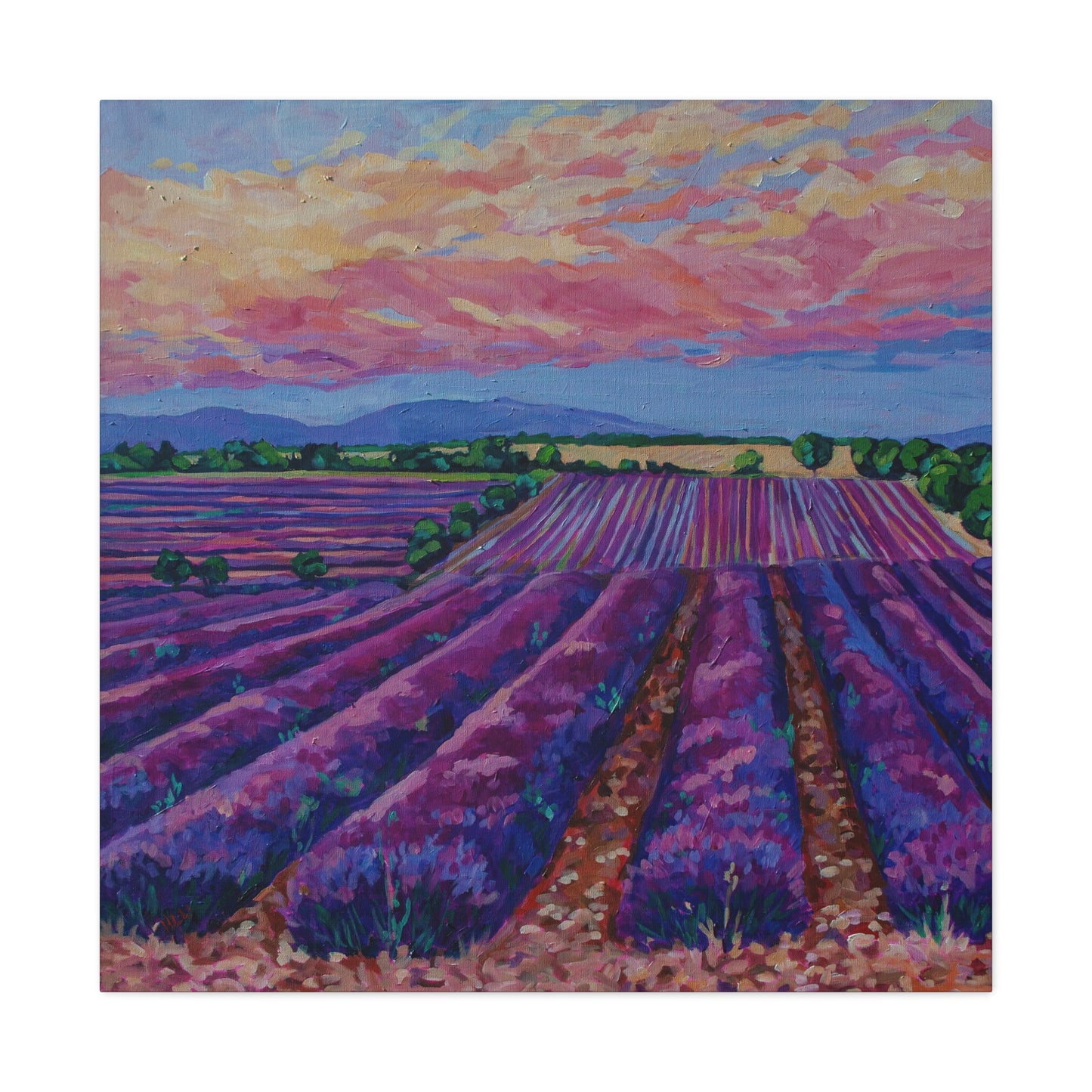 Lavender field at Sunset— Gallery Wrapped Canvas Reproduction