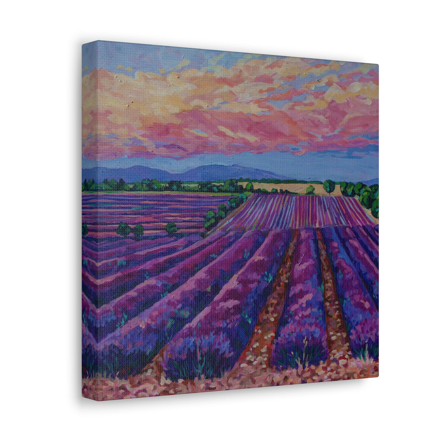Lavender field at Sunset— Gallery Wrapped Canvas Reproduction