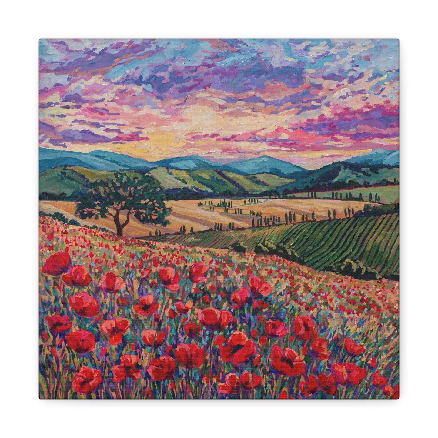 Tuscan Poppies and Poplars— Gallery Wrapped Canvas Reproduction