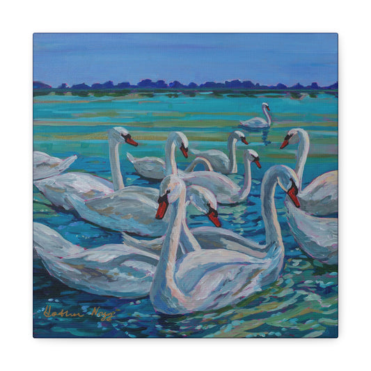Bevy of Mute Swans— Gallery Wrapped Canvas Reproduction