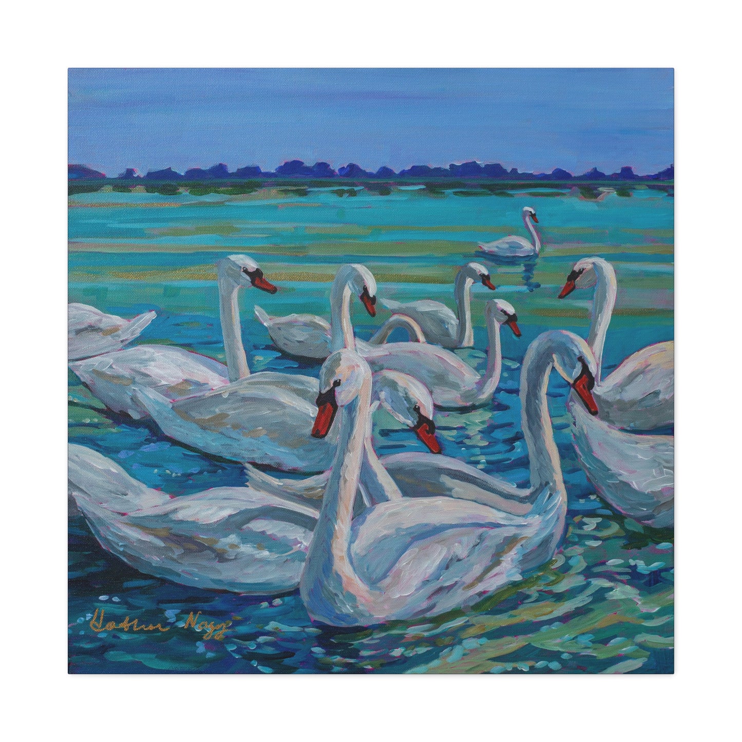 Bevy of Mute Swans— Gallery Wrapped Canvas Reproduction