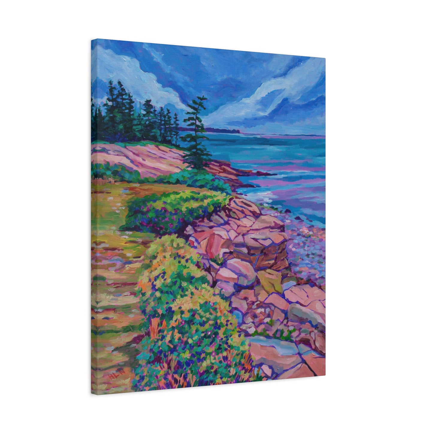 Schoodic Peninsula Acadia Maine—Matte Canvas, Stretched, 1.25"