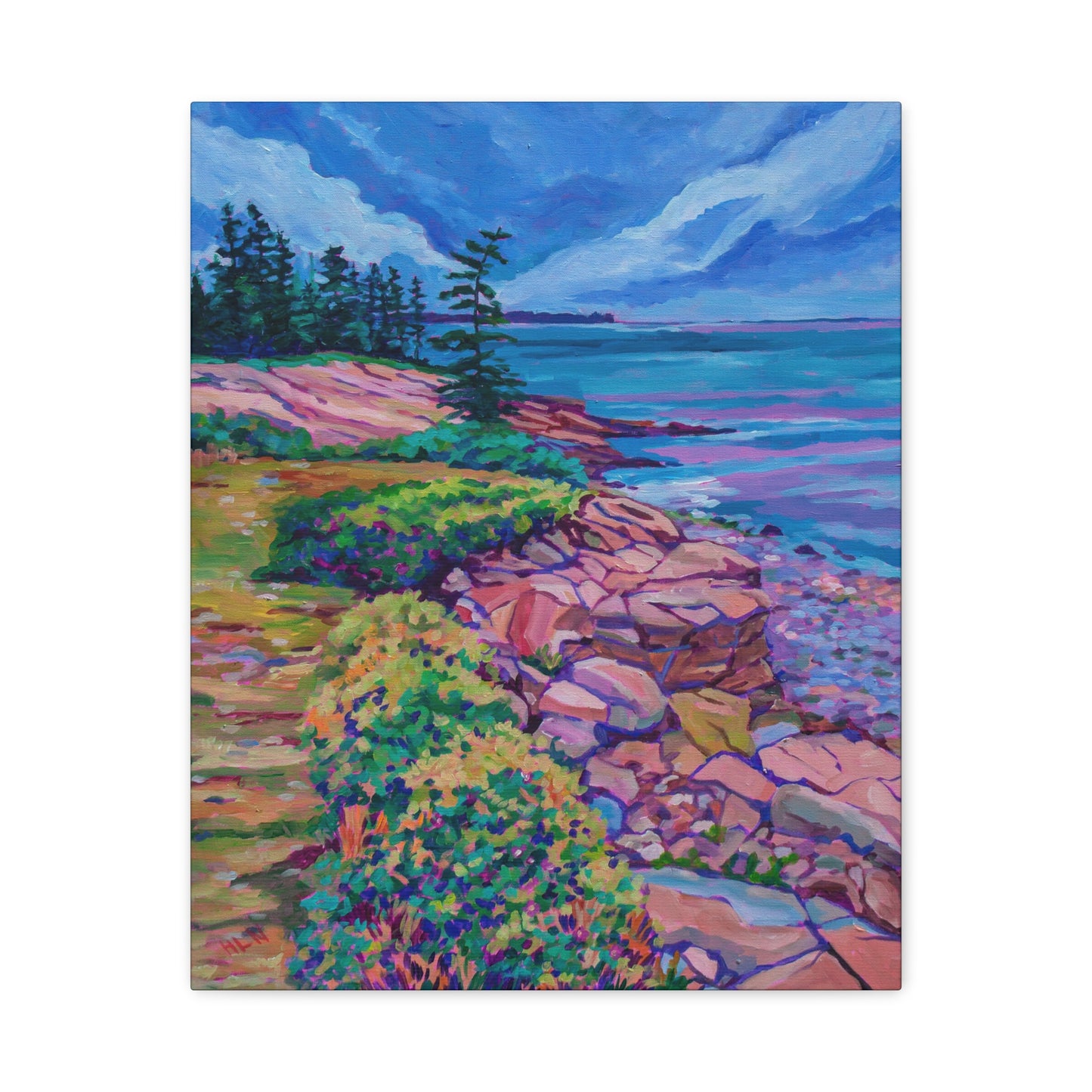 Schoodic Peninsula Acadia Maine—Matte Canvas, Stretched, 1.25"