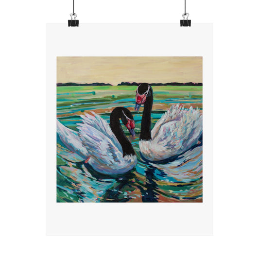 Black Neck Swan Duo— Matte Paper Poster Reproduction