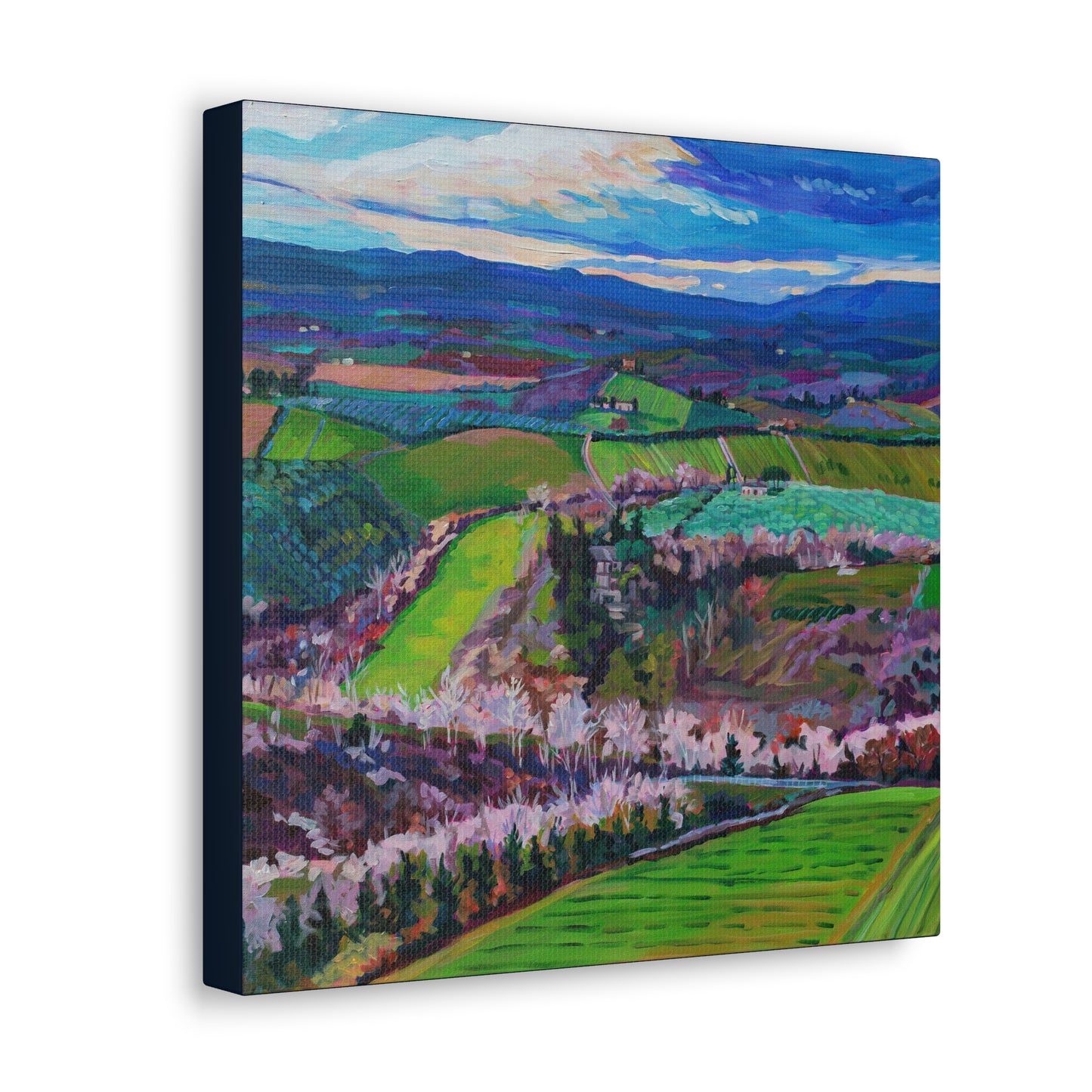 Rolling Tuscan farmland, Italy-Middle Panel— Gallery Wrapped Canvas Reproduction