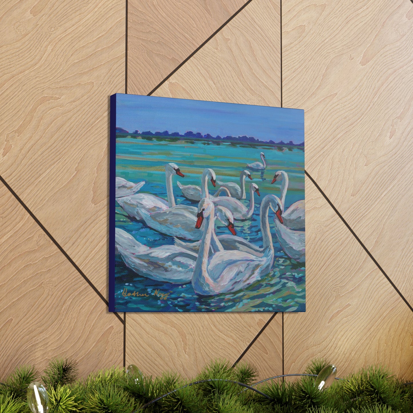 Bevy of Mute Swans— Gallery Wrapped Canvas Reproduction