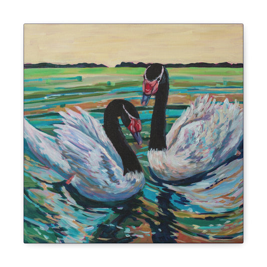 Black Neck Swan Duo— Gallery Wrapped Canvas Reproduction