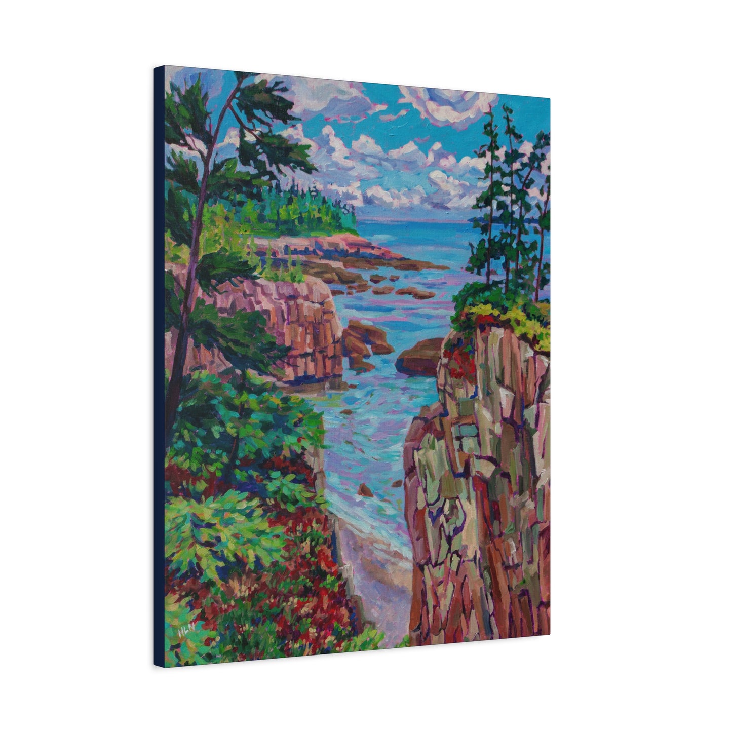 Raven's Nest 1 Acadia Maine—Matte Canvas, Stretched, 1.25"