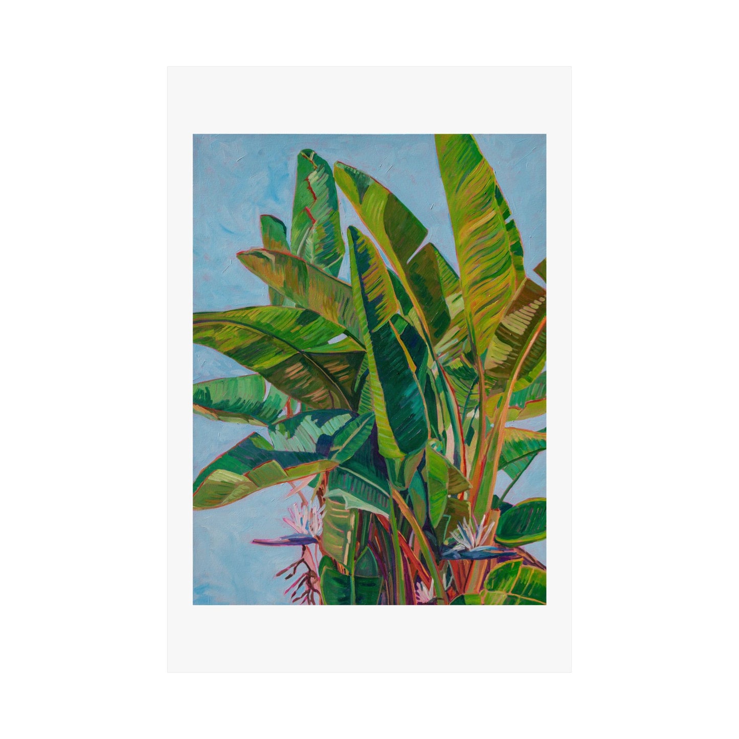 Bird of Paradise 1— Fine Art Poster Reproduction