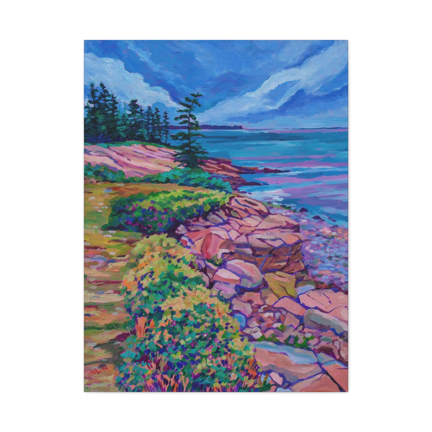 Schoodic Peninsula Acadia Maine—Matte Canvas, Stretched, 1.25"