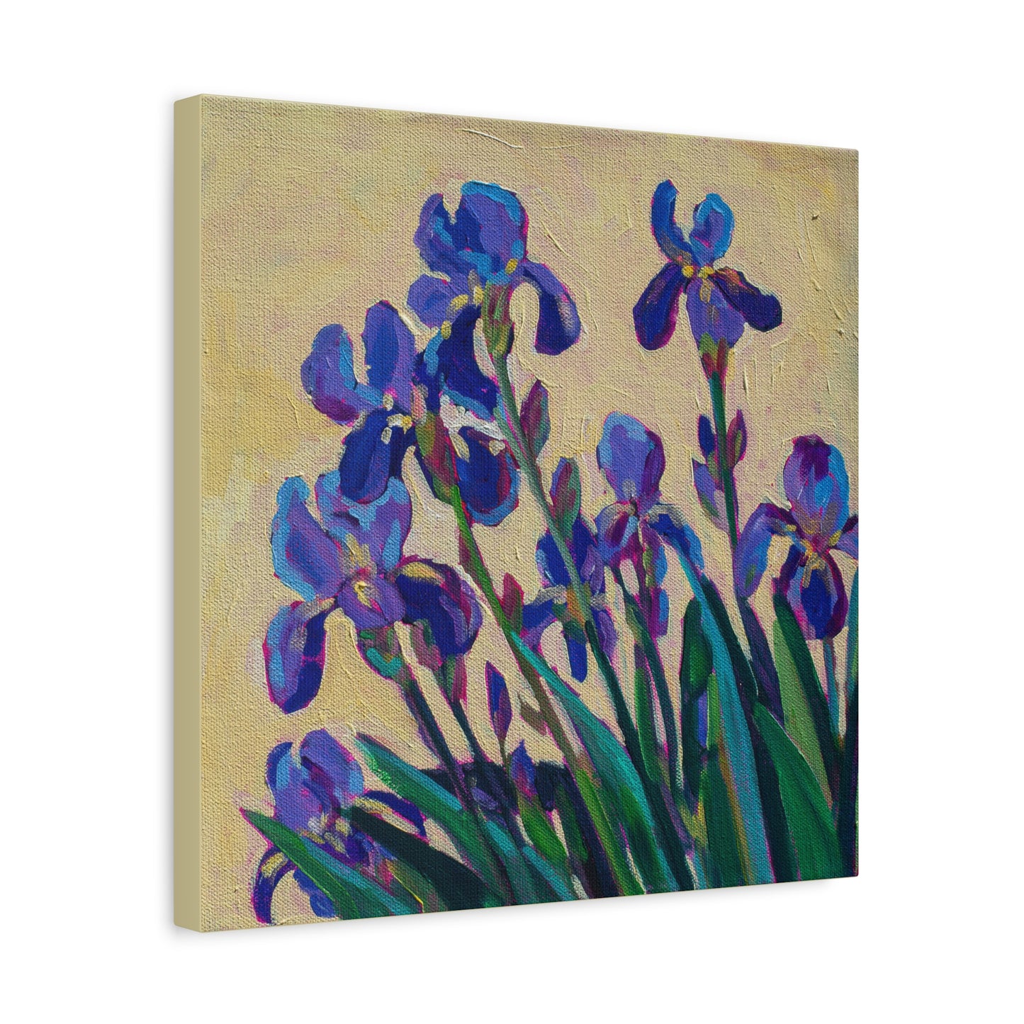 Purple Irises Floral —Matte Canvas, Stretched, 1.25"