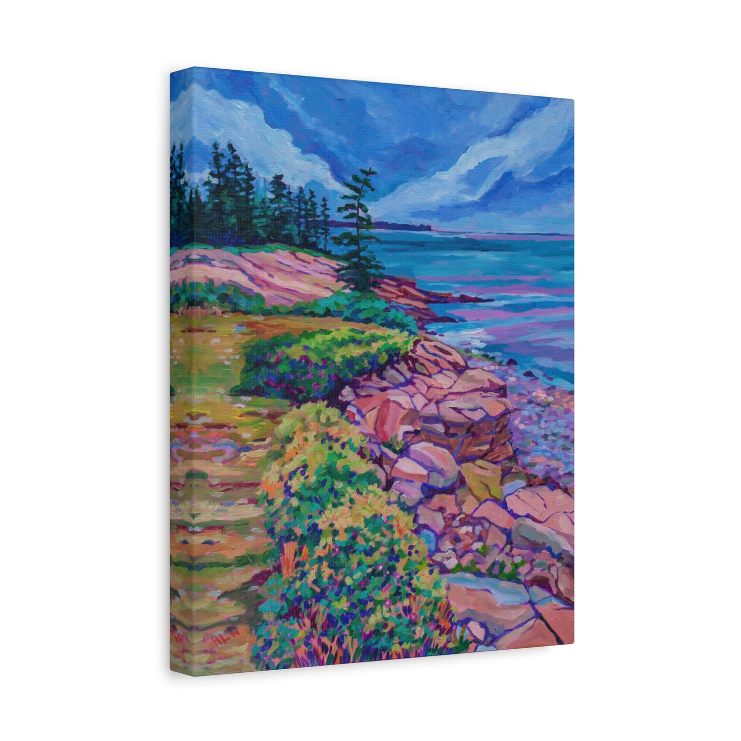 Schoodic Peninsula Acadia Maine—Matte Canvas, Stretched, 1.25"