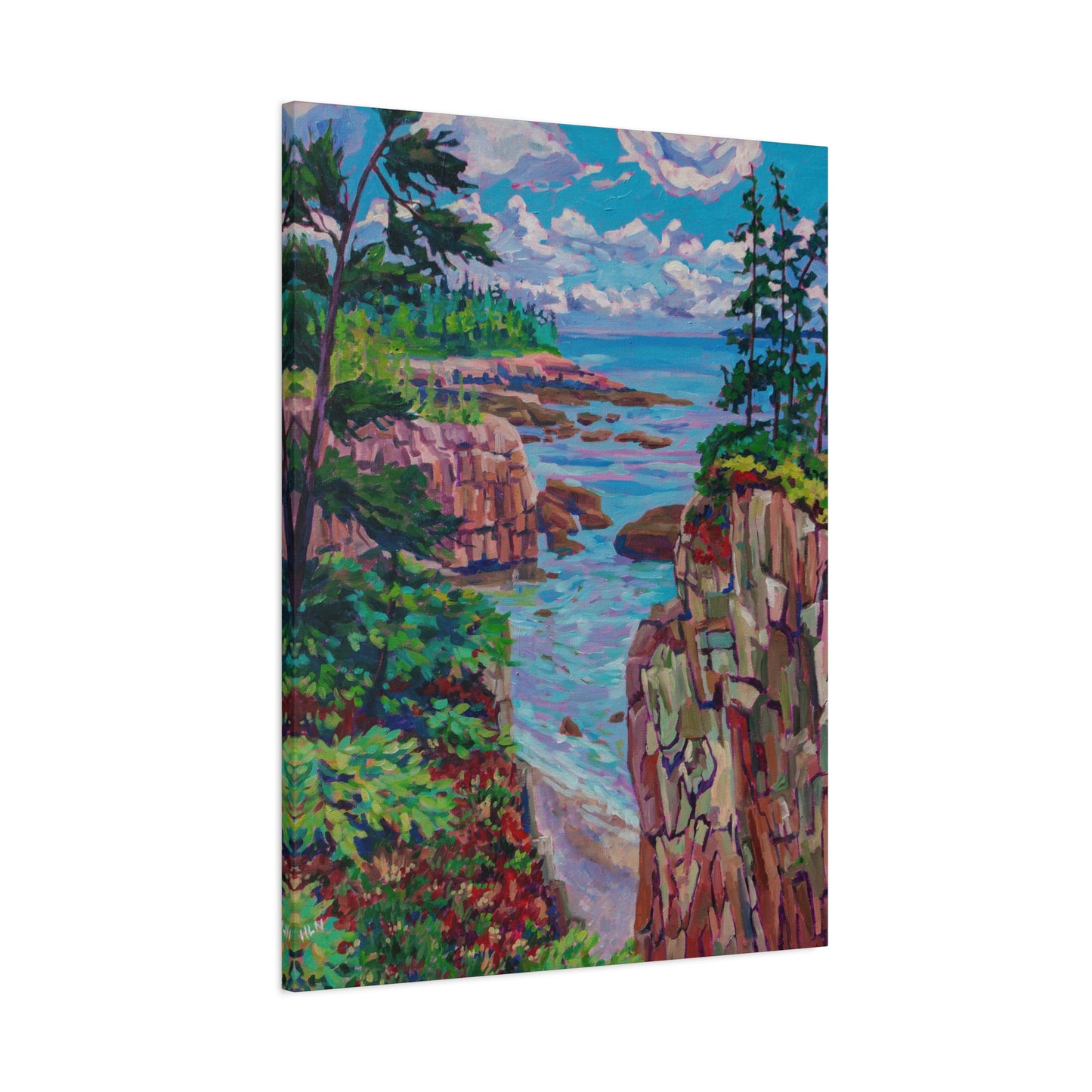 Raven's Nest 1 Acadia Maine—Matte Canvas, Stretched, 1.25"