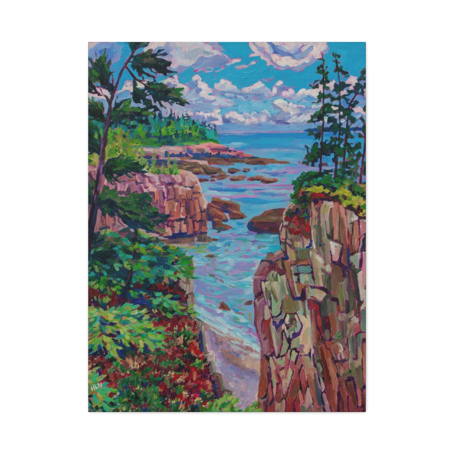 Raven's Nest 1 Acadia Maine—Matte Canvas, Stretched, 1.25"
