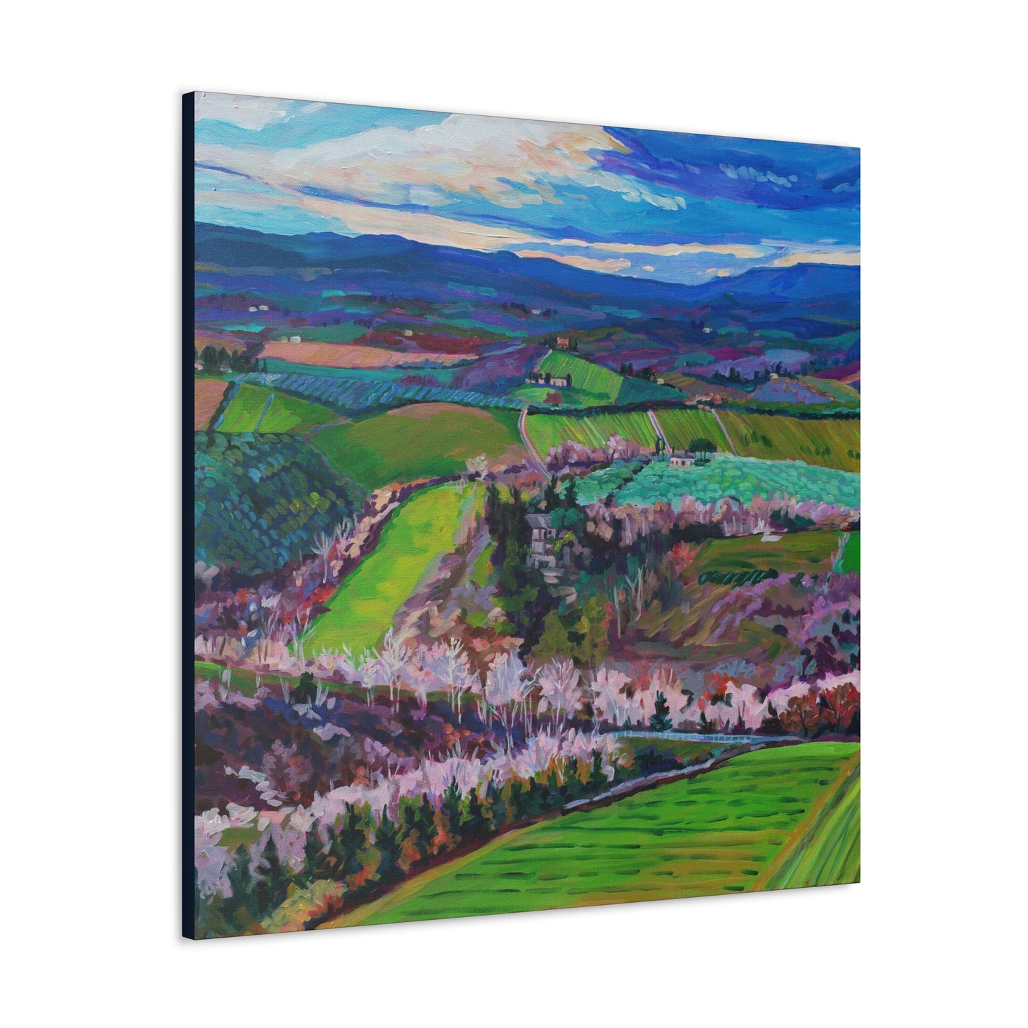 Rolling Tuscan farmland, Italy-Middle Panel— Gallery Wrapped Canvas Reproduction