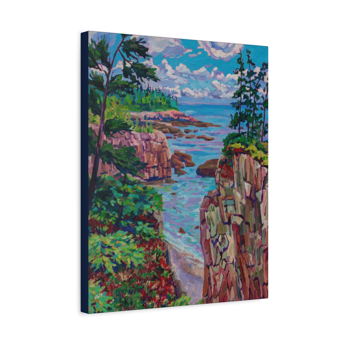 Raven's Nest 1 Acadia Maine—Matte Canvas, Stretched, 1.25"