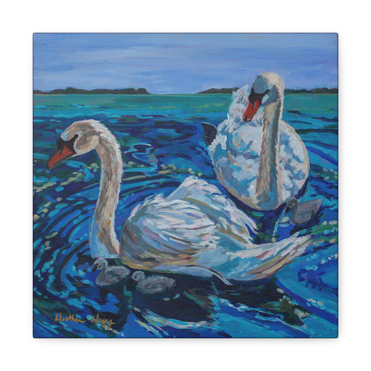Mute Swan Family— Gallery Wrapped Canvas Reproduction