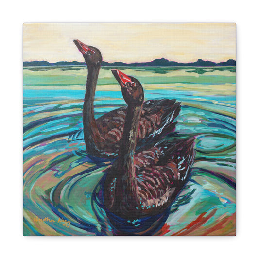 Black swan pair— Gallery Wrapped Canvas Reproduction
