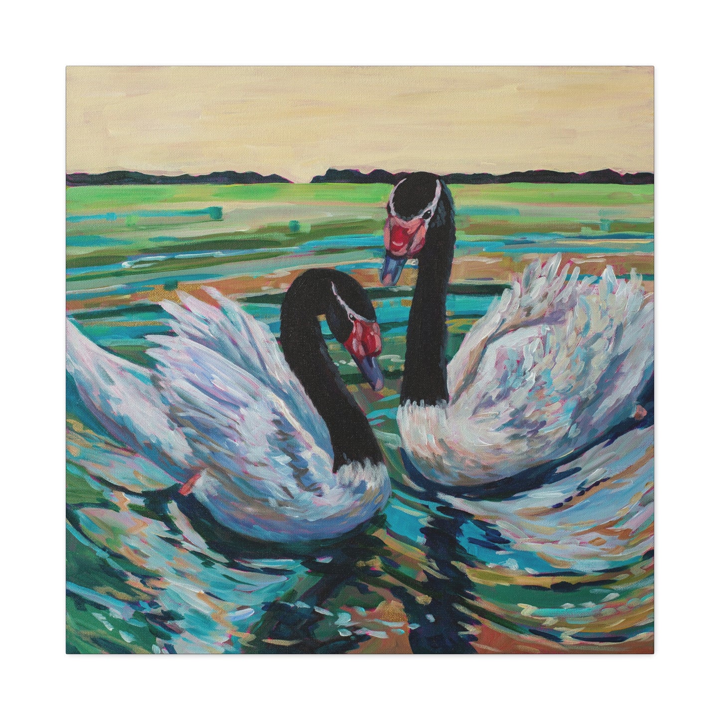 Black Neck Swan Duo— Gallery Wrapped Canvas Reproduction