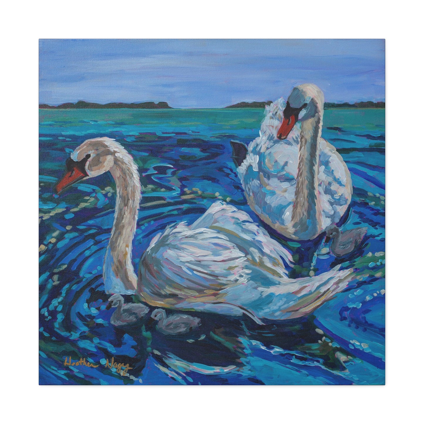 Mute Swan Family— Gallery Wrapped Canvas Reproduction