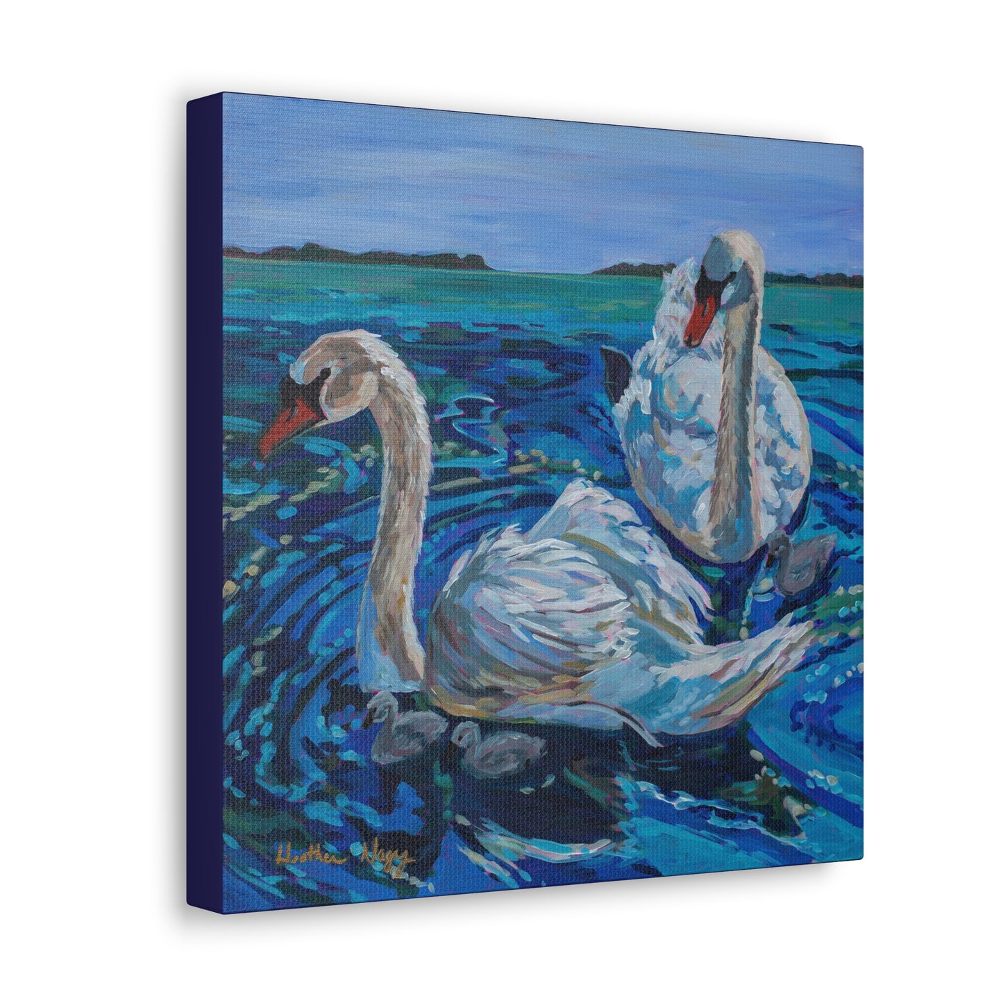 Mute Swan Family— Gallery Wrapped Canvas Reproduction