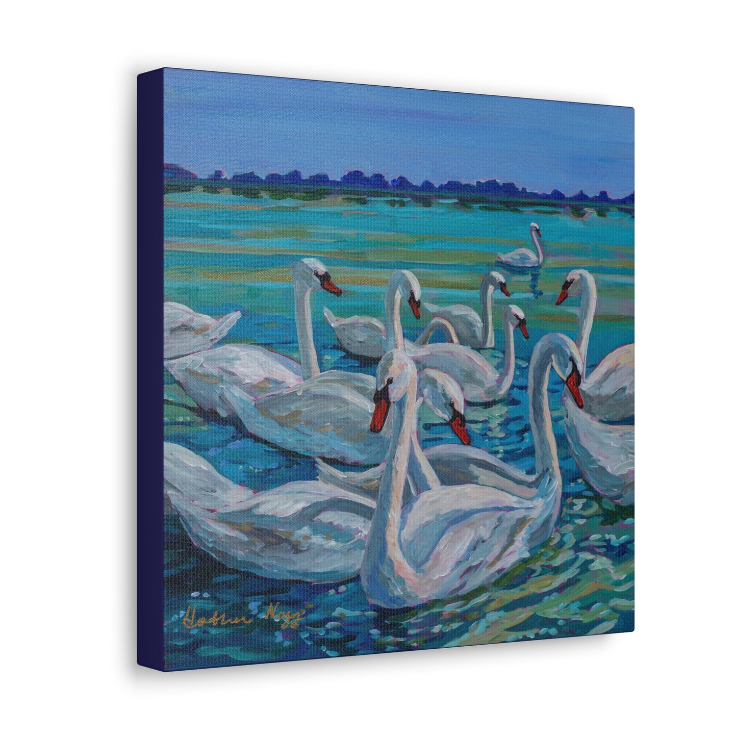 Bevy of Mute Swans— Gallery Wrapped Canvas Reproduction
