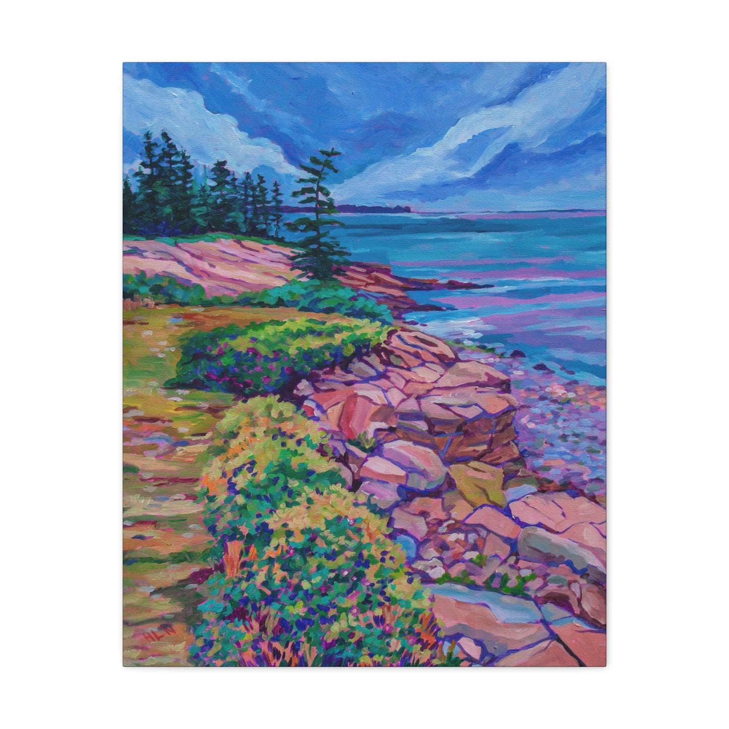 Schoodic Peninsula Acadia Maine—Matte Canvas, Stretched, 1.25"