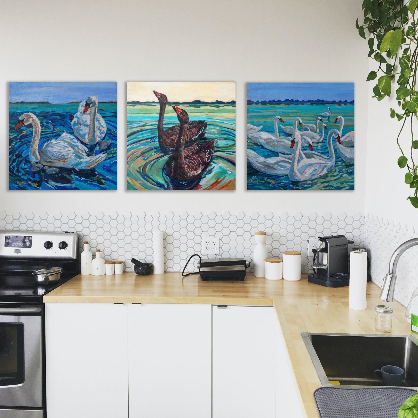 3 swan paintings in kitchen setting