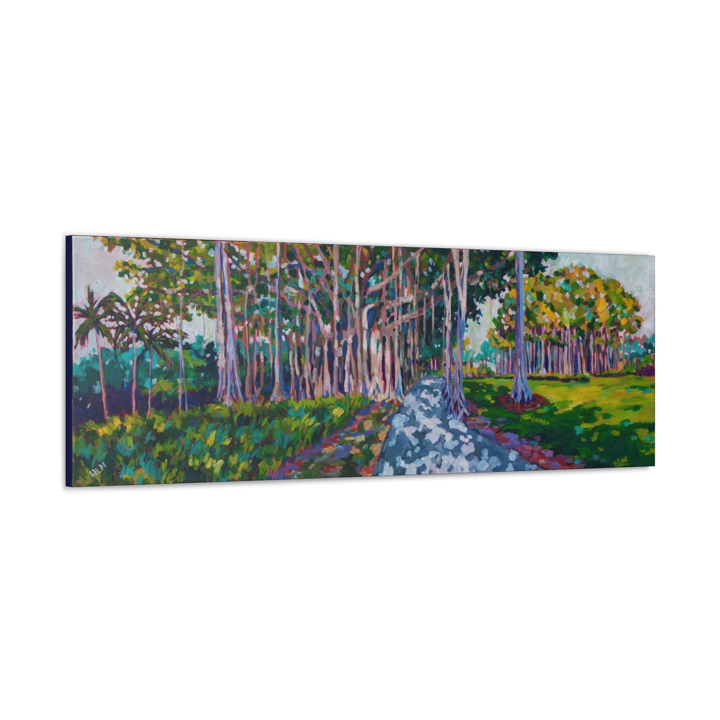 Ringling's Banyan— Gallery Wrapped Canvas Reproduction