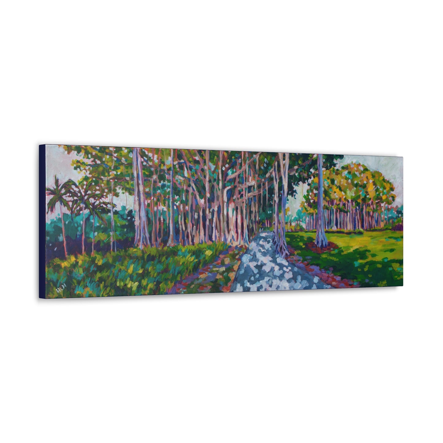 Ringling's Banyan— Gallery Wrapped Canvas Reproduction