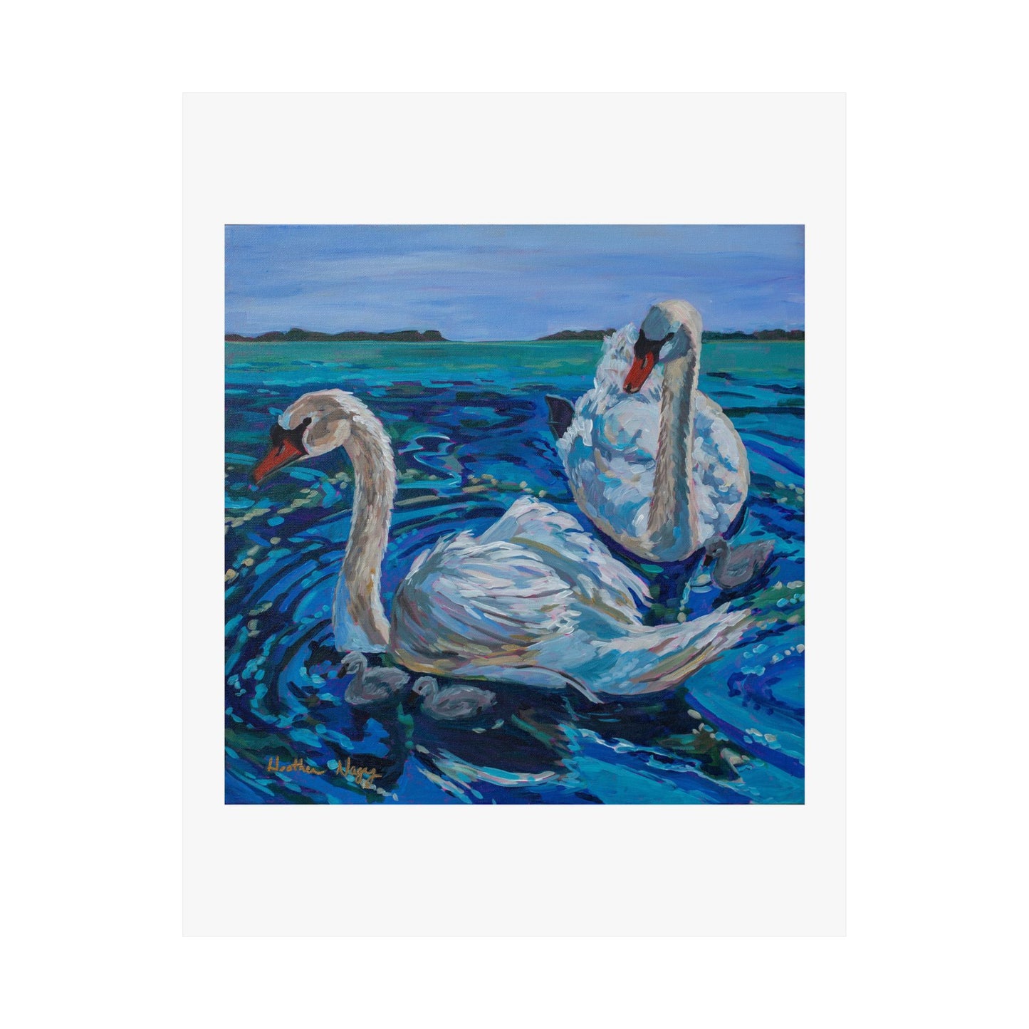 Mute Swan Family— Matte Paper Poster Reproduction