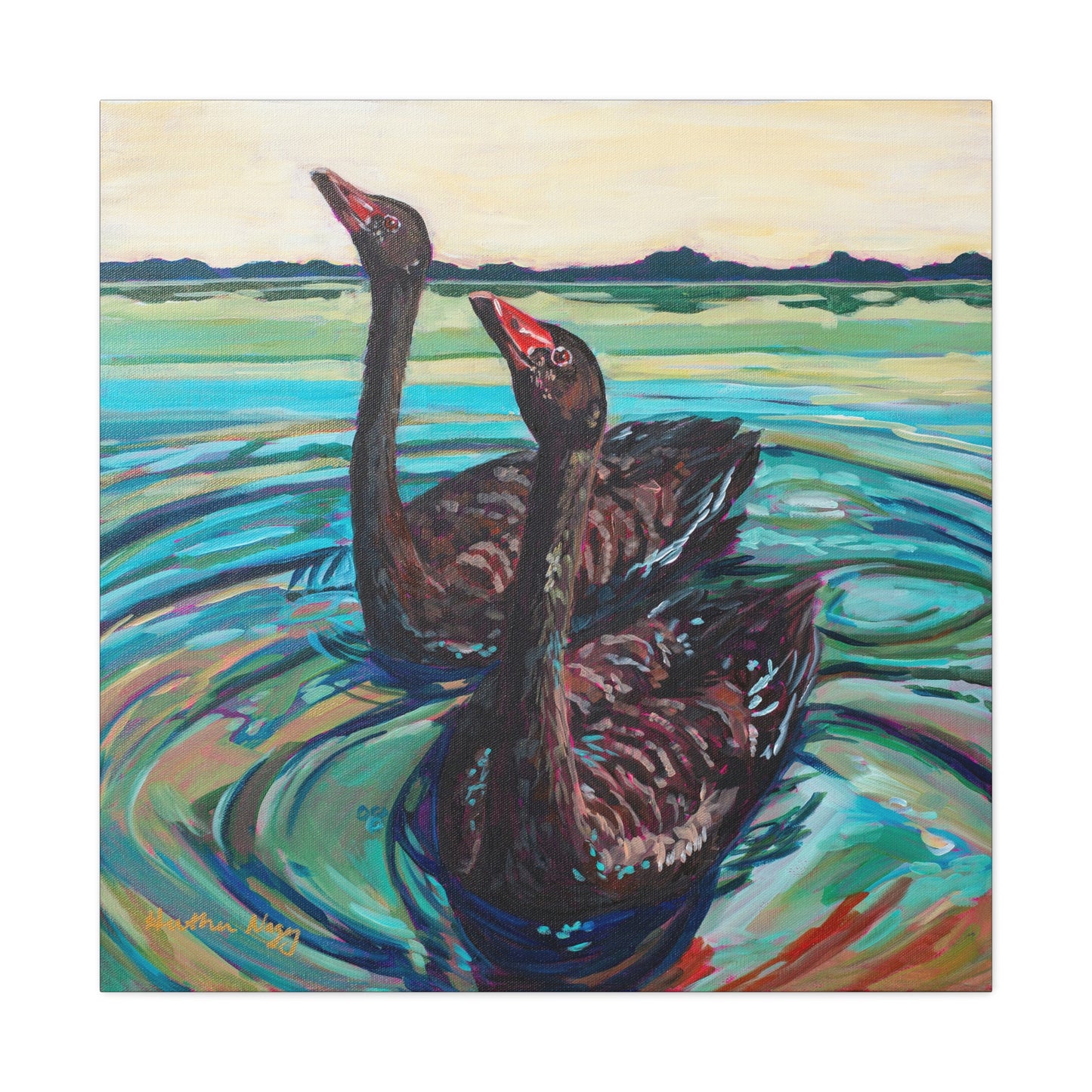 Black swan pair— Gallery Wrapped Canvas Reproduction