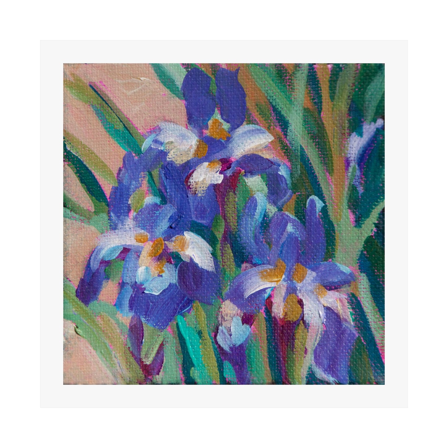 Small Iris 2 — Matte Paper Poster Reproduction