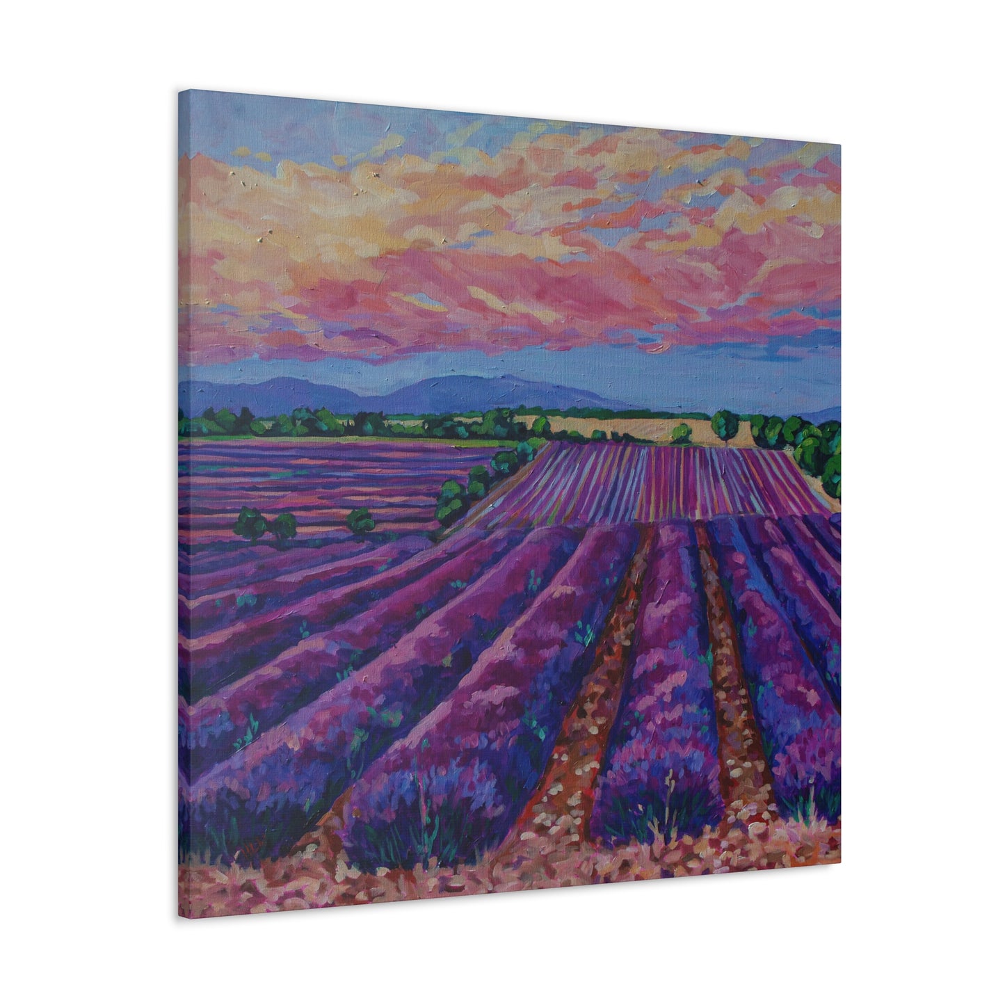 Lavender field at Sunset— Gallery Wrapped Canvas Reproduction