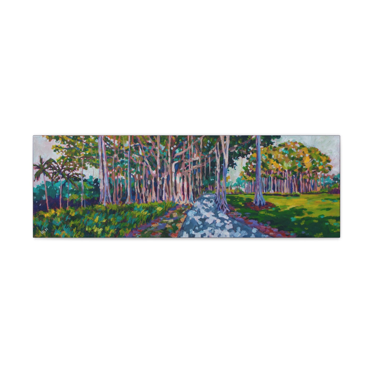Ringling's Banyan— Gallery Wrapped Canvas Reproduction