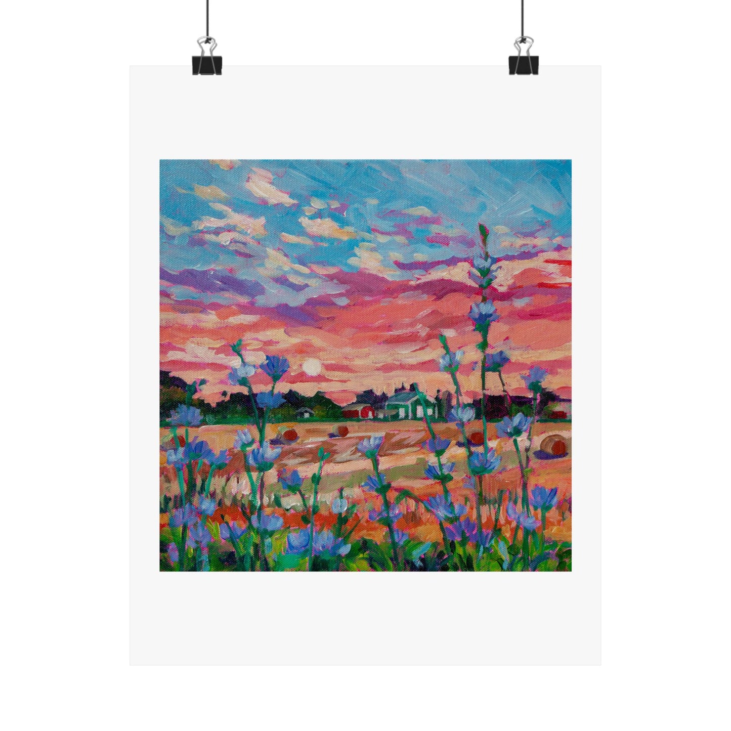 Chicory at Sunrise— Matte Paper Poster Reproduction