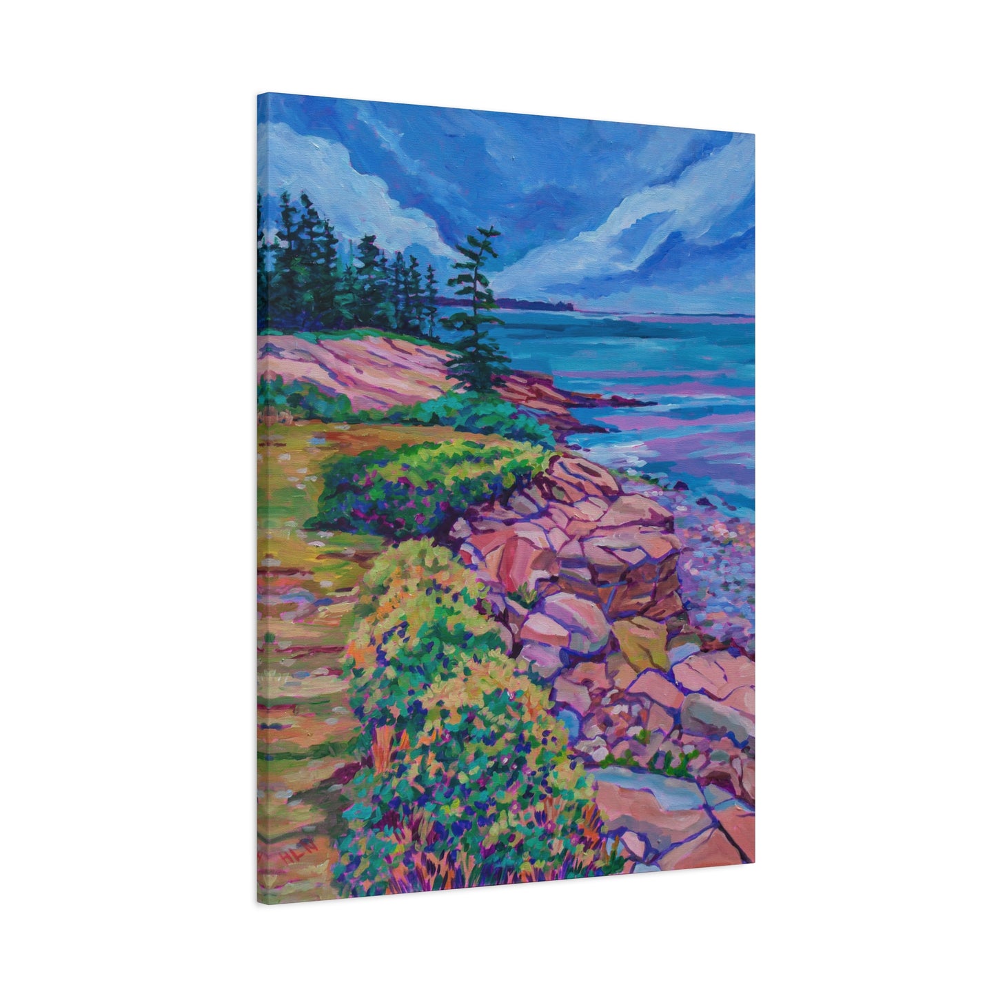 Schoodic Peninsula Acadia Maine—Matte Canvas, Stretched, 1.25"