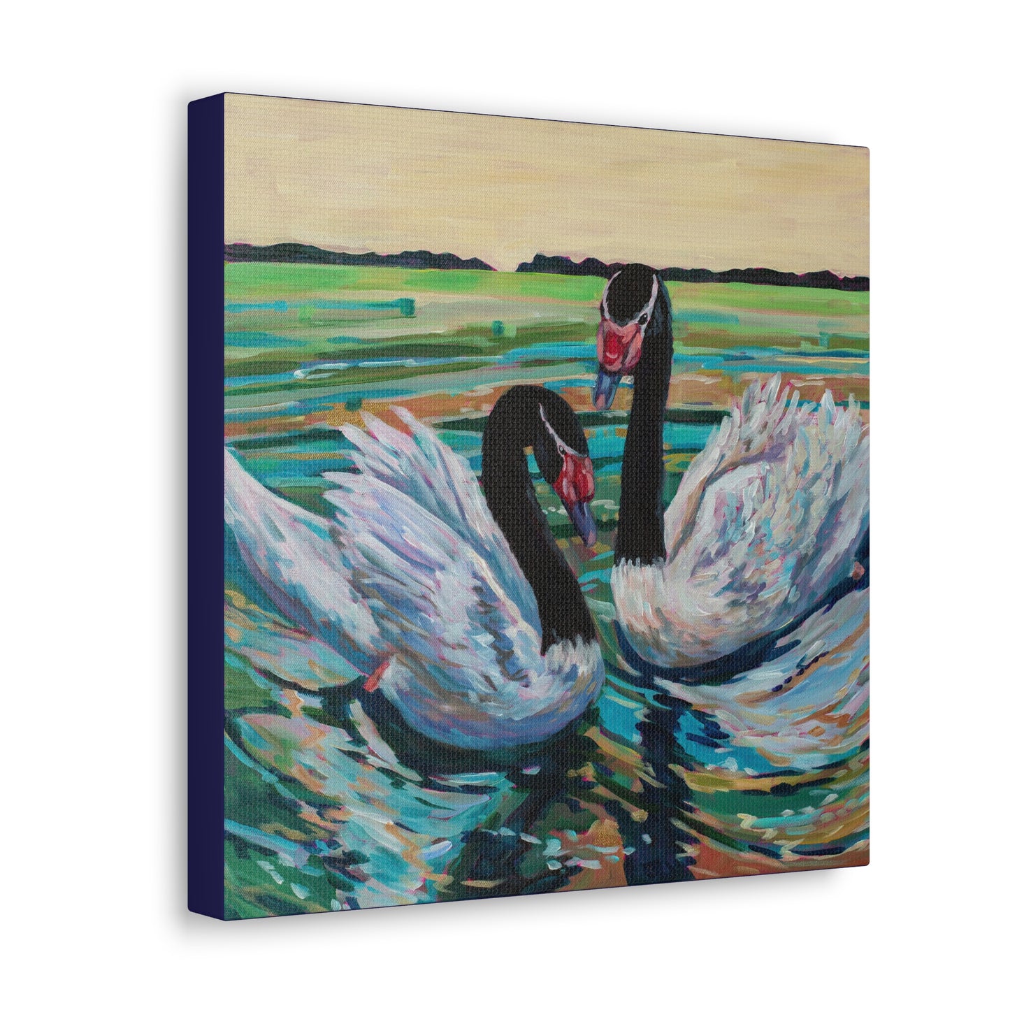 Black Neck Swan Duo— Gallery Wrapped Canvas Reproduction
