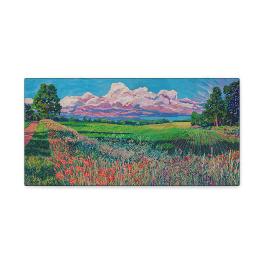Heartland Panoramic—Matte Canvas, Stretched, 1.25"