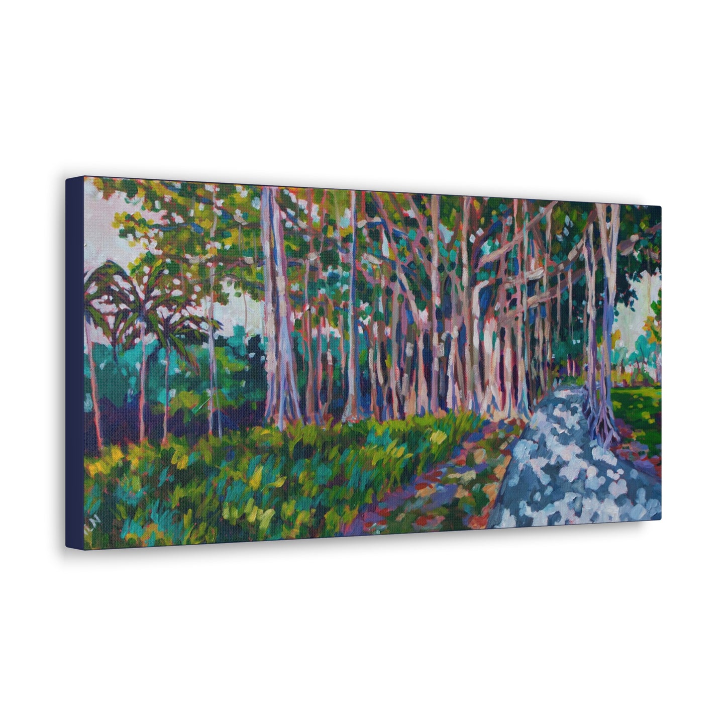 Ringling's Banyan— Gallery Wrapped Canvas Reproduction