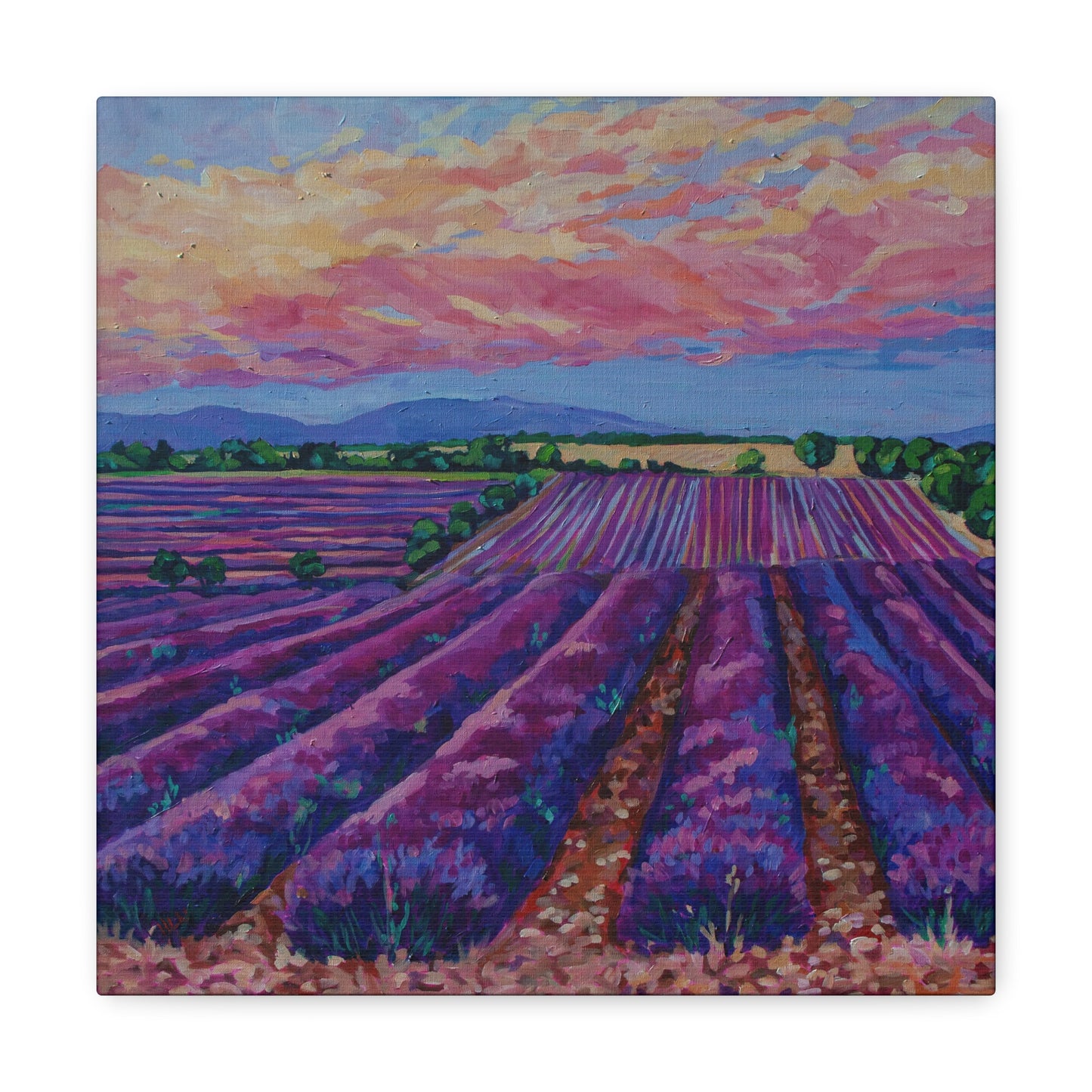 Lavender field at Sunset— Gallery Wrapped Canvas Reproduction
