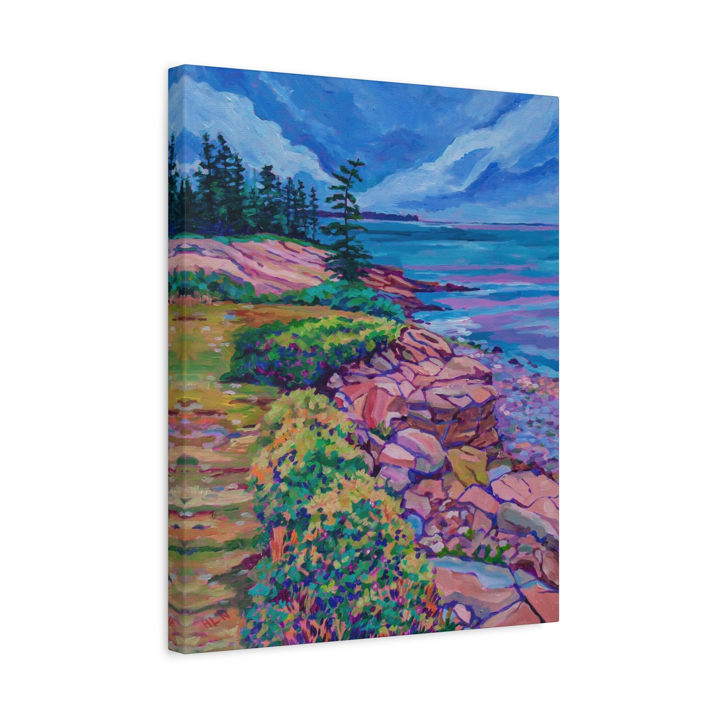 Schoodic Peninsula Acadia Maine—Matte Canvas, Stretched, 1.25"