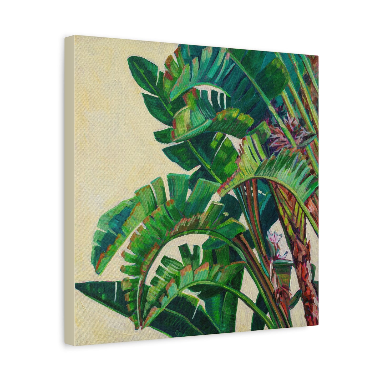 Palm Detail #12 —Matte Canvas, Stretched, 1.25"