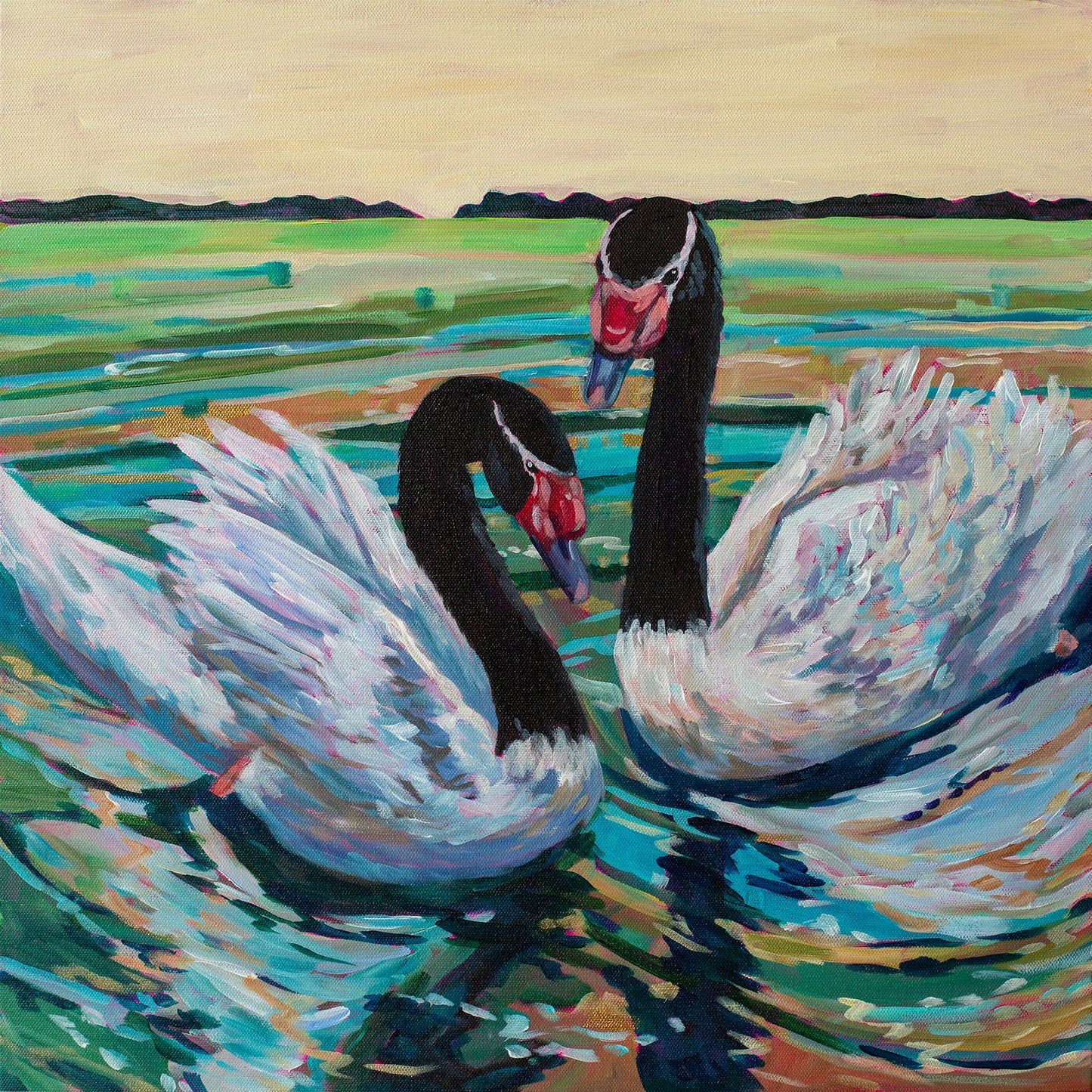 Black neck swan duo
