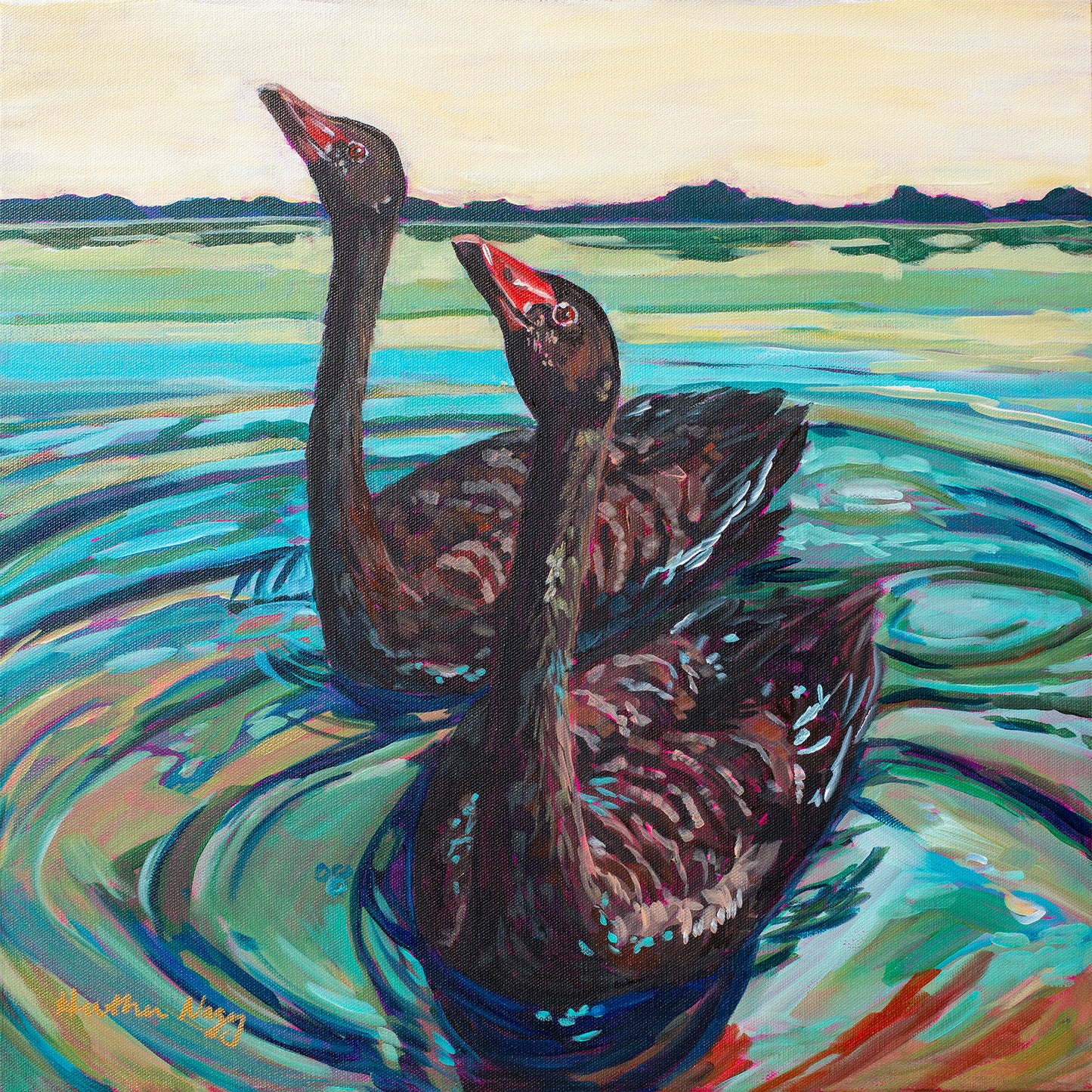 Black swan pair