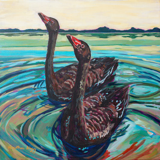 Black swan pair
