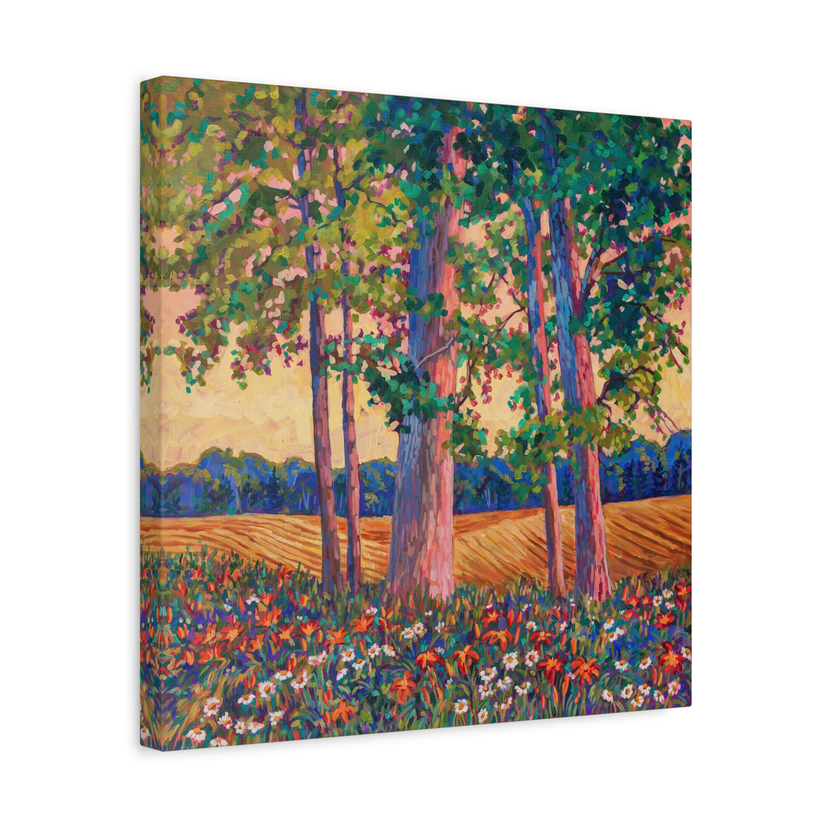 Absorbing the Light—Matte Canvas, Stretched, 1.25"
