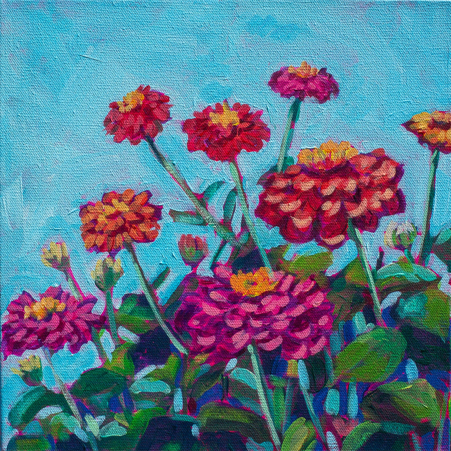 Happy Zinnias