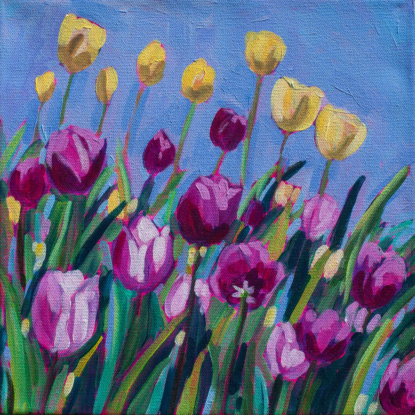 Tulip Time